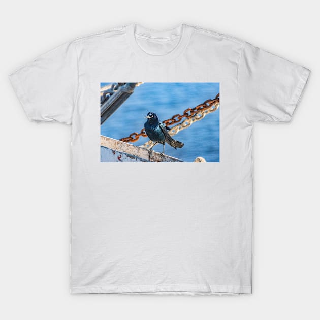 Fishing Bird on a fishing boat T-Shirt by KensLensDesigns